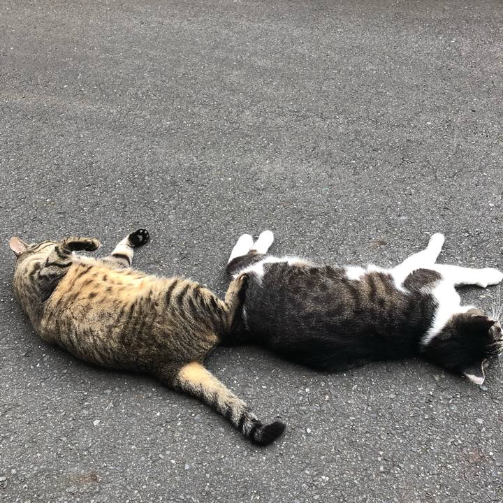 47c2a786 d129 42b3 8eee 0cc4ff7ae9ee 1561181620054