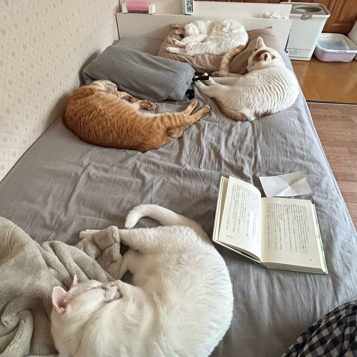 47c2ada3 b6ba 4795 bcb6 f17ba19fffa4 1687046622372