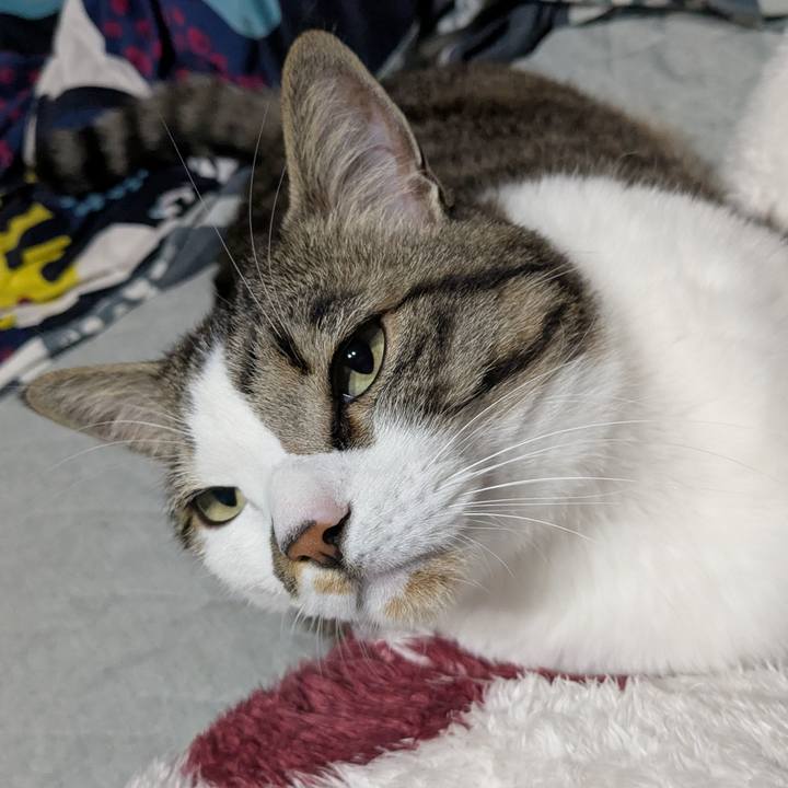 47c2bb6d ccd8 4d5a 9138 df0503a7bbcb 1742736351216