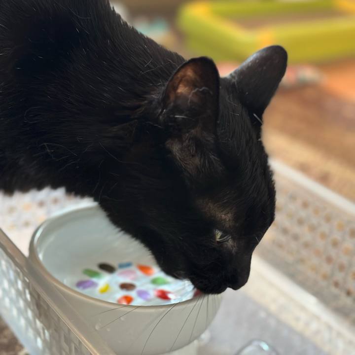 47c2c469 a22a 4e0a 8d59 22e8bc607b12 1692662235568