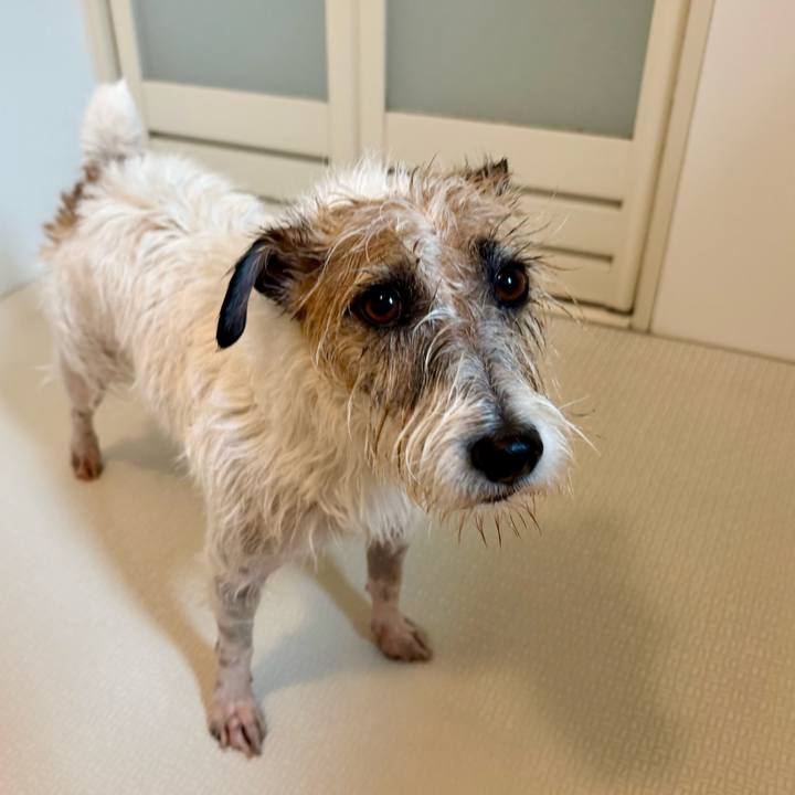 47c2dae5 f0a0 4f03 8fa3 ee1185e7bb4c 1762002556279