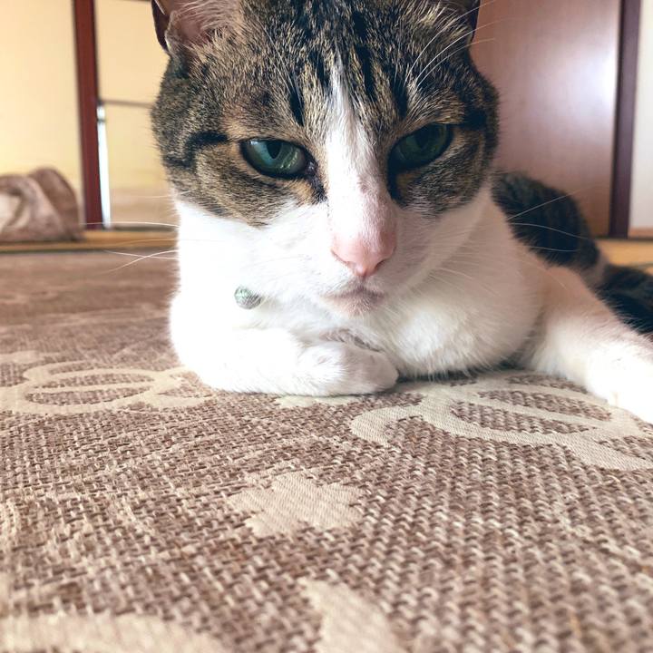 47c3428c 3835 46fb a608 89fee7ce703e 1562742168900