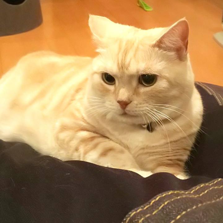 47c34ccf 4490 49d5 93c7 0f3cf5d722d3 1597152624823