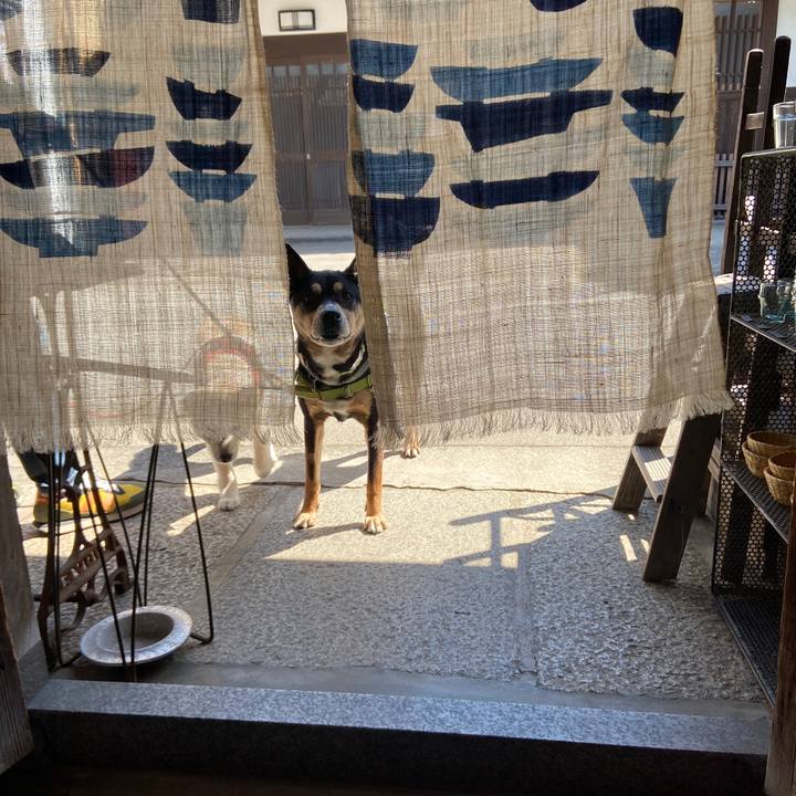 47c3561f fe7d 4c1c a127 56ebd92f13c5 1681124949543