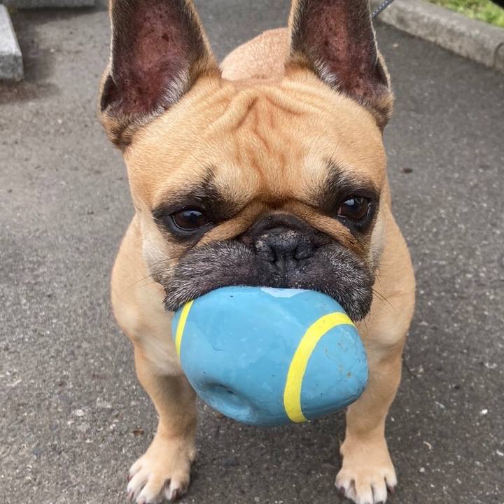 47c35733 f625 45c5 87a8 56d0e24c06f1 1667575153972