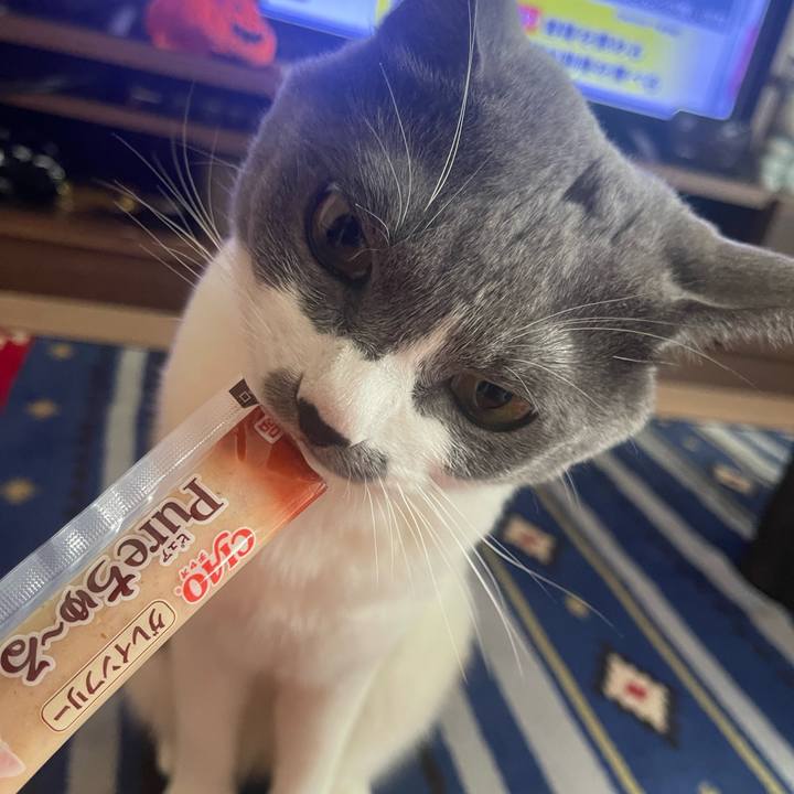 47c374bc 300c 4f05 8aec c894dcff7bbf 1664432333427