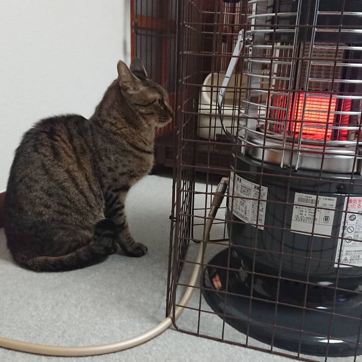 47c3f69f e09c 440a 9131 2d60fc0d796e 1512434478656