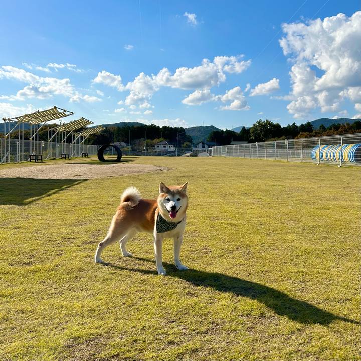 47c3fba6 b9a7 422c 9a8f b751042d098f 1731055868877