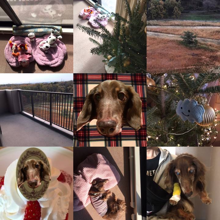 47c3fdee fac2 44d5 b468 4eba33025ad9 1606699935037