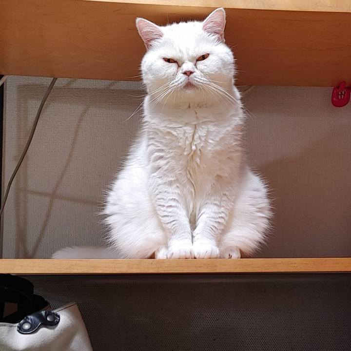 47c3ff02 f4b8 47fe 8324 fefe07fad855 1629897629882