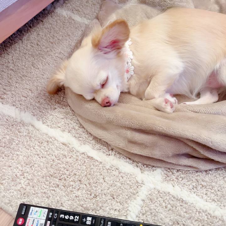 47c47091 3832 485f 96d6 eec227e776b4 1695562107967