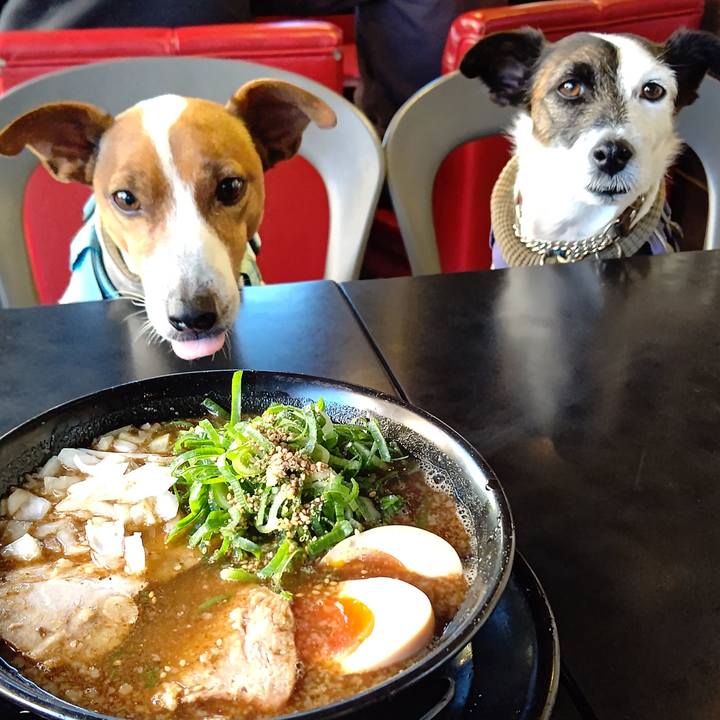 47c4d373 350c 475d b893 48eaba92fb4e 1670662182111