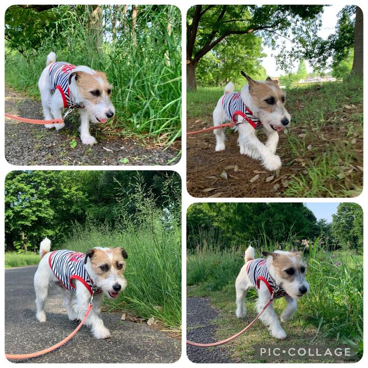 47c4f768 ff65 4222 927a 10ee1573f689 1620982718023