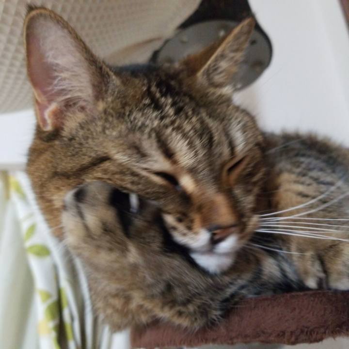 47c50c24 0811 4111 b39d 386dd54f86b7 1575923098844