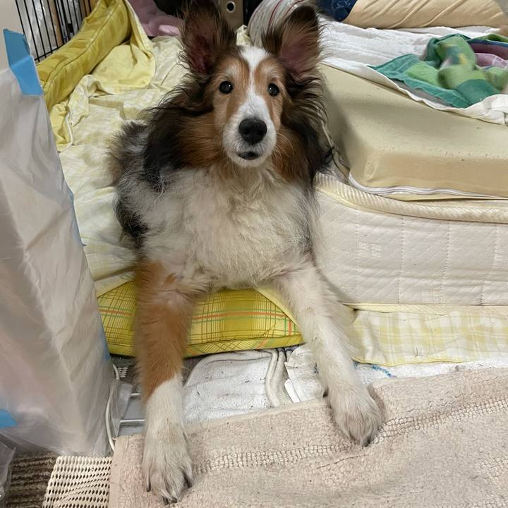 47c54673 bcc9 48aa 8531 9560c95b5dd4 1619781980822