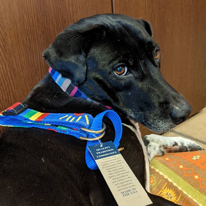 47c56514 fafa 463b 9194 a76d334af8bc 1634900894864