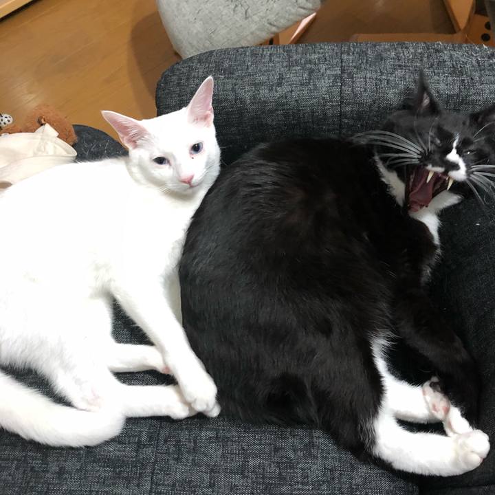 47c56633 90c2 4380 a31a 02060acc3519 1548165495599