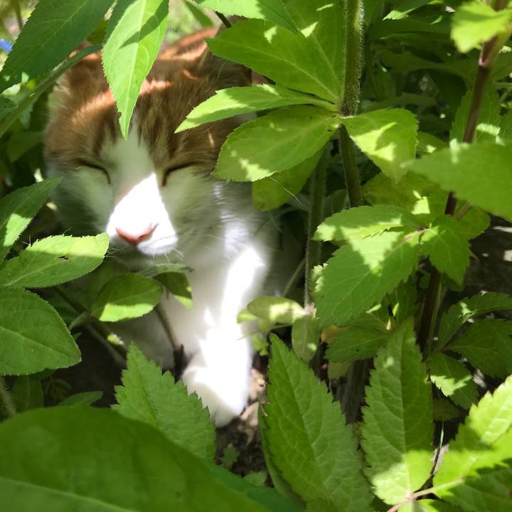 47c570db 5790 4e5e bf01 40d9686fe477 1527224862979