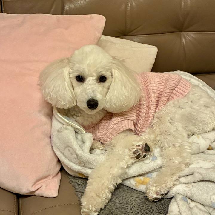 47c5a57b 45bb 47ca bf34 ec772ba633a4 1769779338051