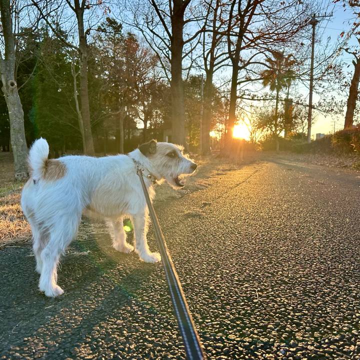 47c5d7ba dbdb 4c3c bc05 a9c887aedb5e 1735397619677