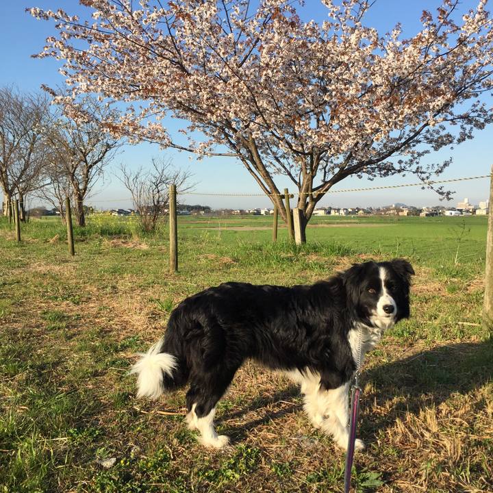 47c5db89 26eb 47a5 aa34 c847ebe40957 1585091709961