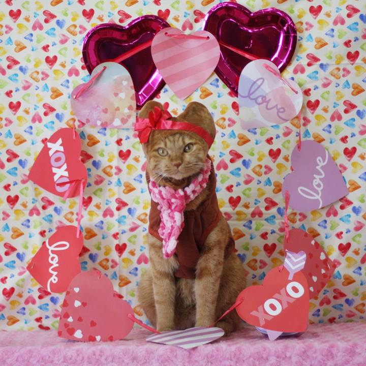 47c61ebf 0556 4b8f 8a4e 7d8bbaac9fb2 1675778319061