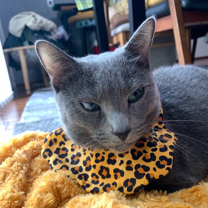 47c62a8a 7981 4ba6 97e7 e7e391e25d1c 1648980244143