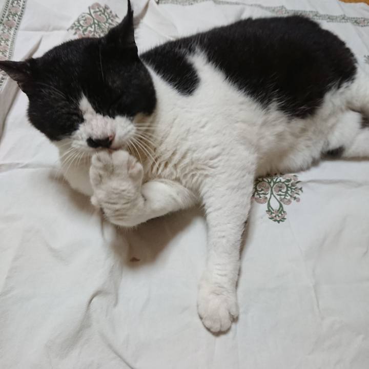 47c634d8 b6b2 4c5d ac4b e9dddbb768bb 1659355106136