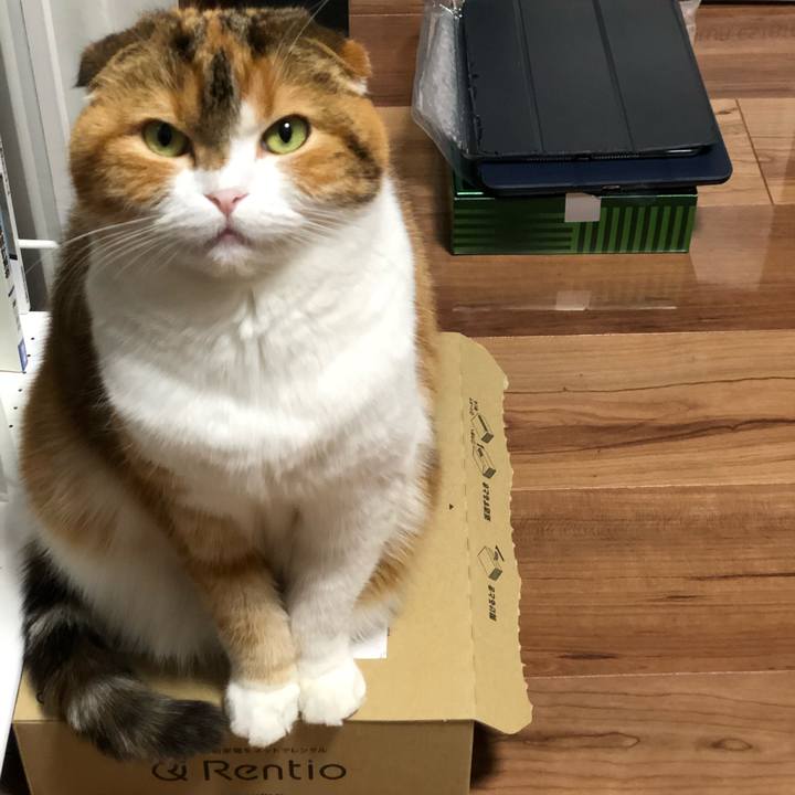 47c644d3 5999 42fe af25 86f755a31d95 1608540842492