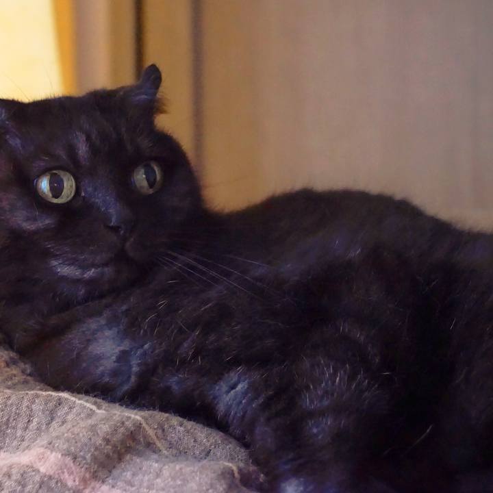 47c65568 0f10 4391 84d5 3bd163640712 1566579012876