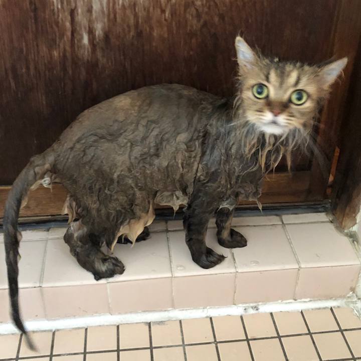 47c65ec0 f2e4 463d 8f1a ab64e5914e4d 1568536306072