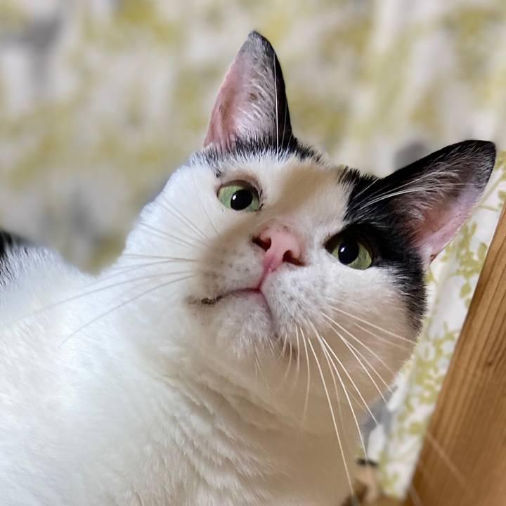 47c68de1 7287 427a bf65 73082fbdafc6 1597064699517