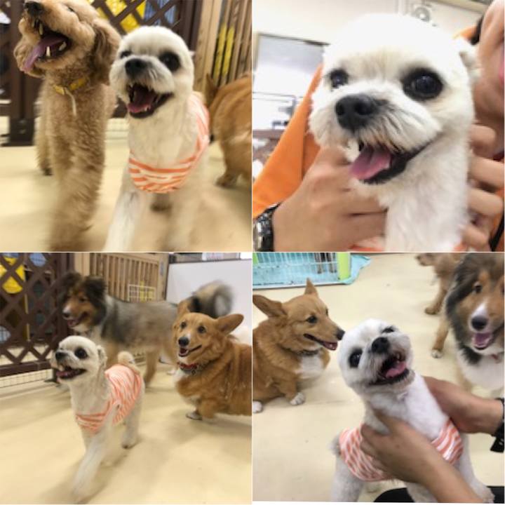 47c697f9 825a 413f b2a2 797623a9a800 1532091847175