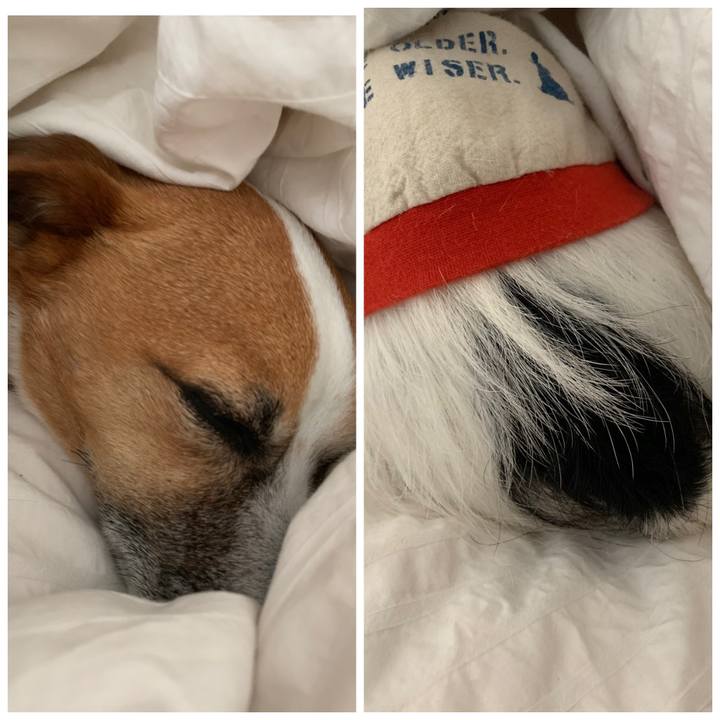 47c6daa5 fe49 4ec6 b47b 8d9a18479533 1554852030046