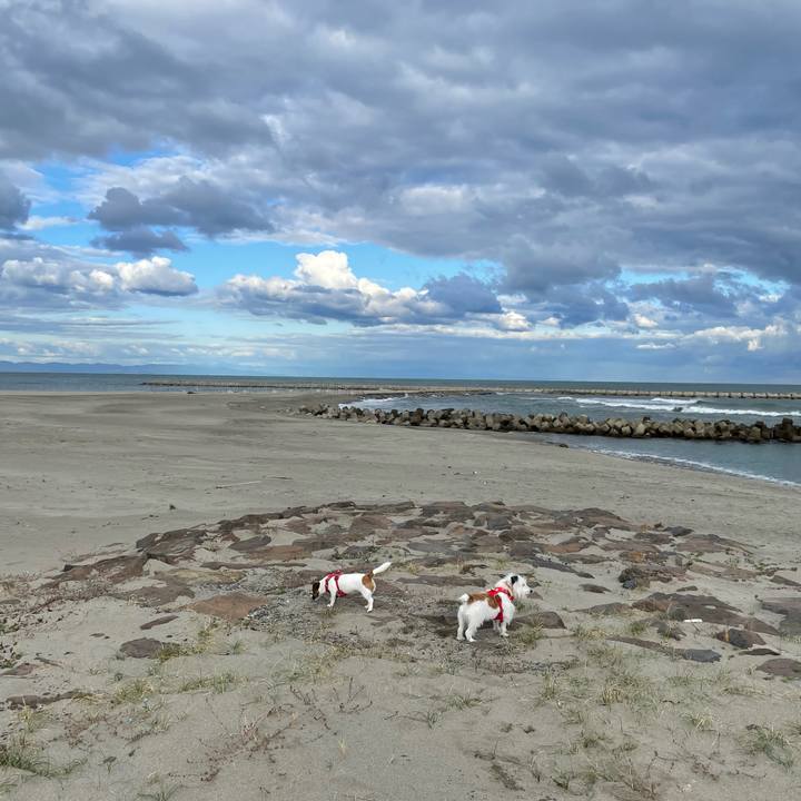 47c6e4d2 a71d 4a39 9a01 2c4433f82d1a 1666224904931