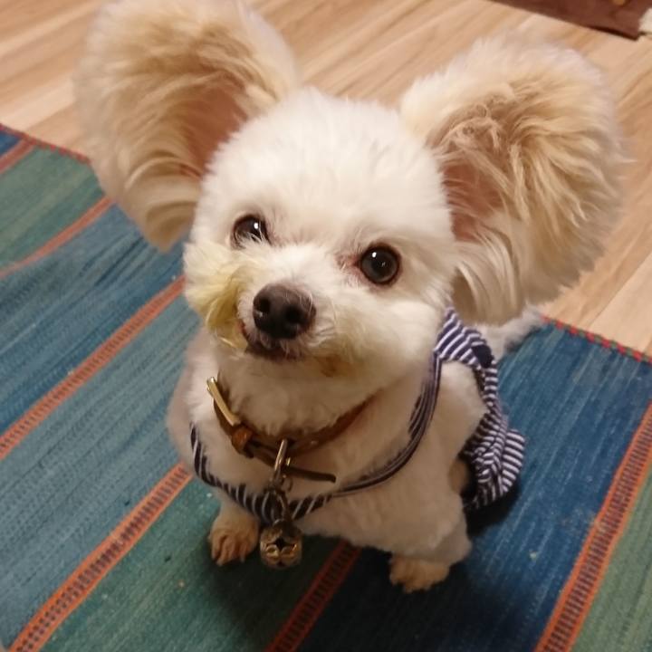 47c6e872 4049 46e5 93a5 8ee032d7d7f6 1568718215794