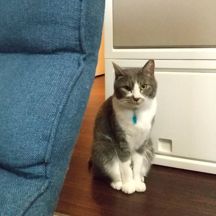 47c73fc3 1870 435d 9413 328b85012b3b 1649057935996