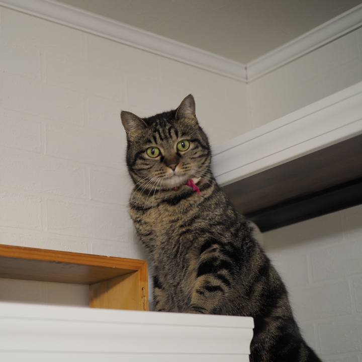 47c7725a 8695 49f6 ab65 9fb10764ed0b 1612781021257