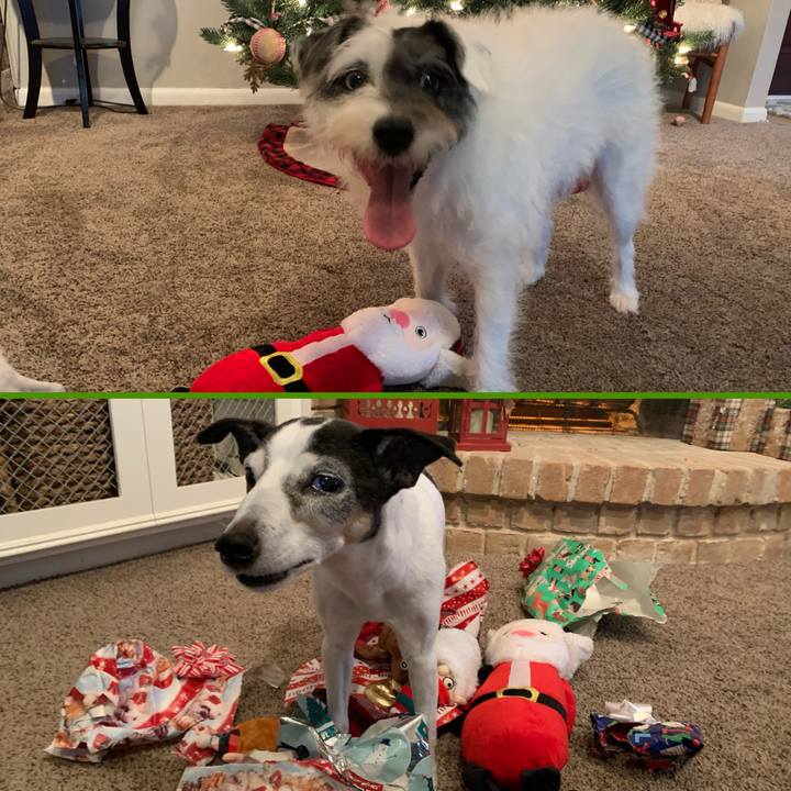 47c78bb6 4411 44da a0b7 6f772c31dccf 1640471562207