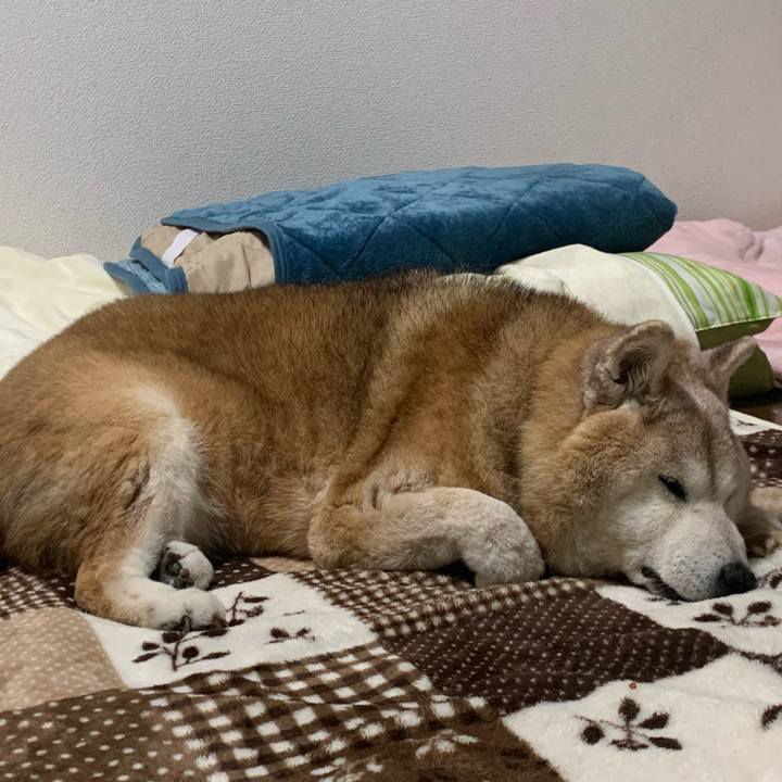 47c79d0d 5d7c 4385 add8 441328889877 1686054947821