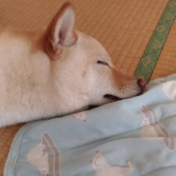 47c7d53c 754a 4831 84a8 9b80477aa01d 1530426088055