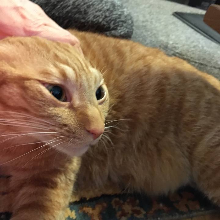 47c7da27 162c 4004 b67e 47d112415655 1555544357020