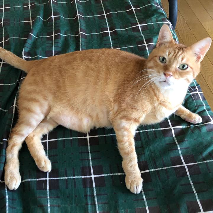 47c8128e 96ae 46d2 87dd f0fc9e6341a9 1694932114093