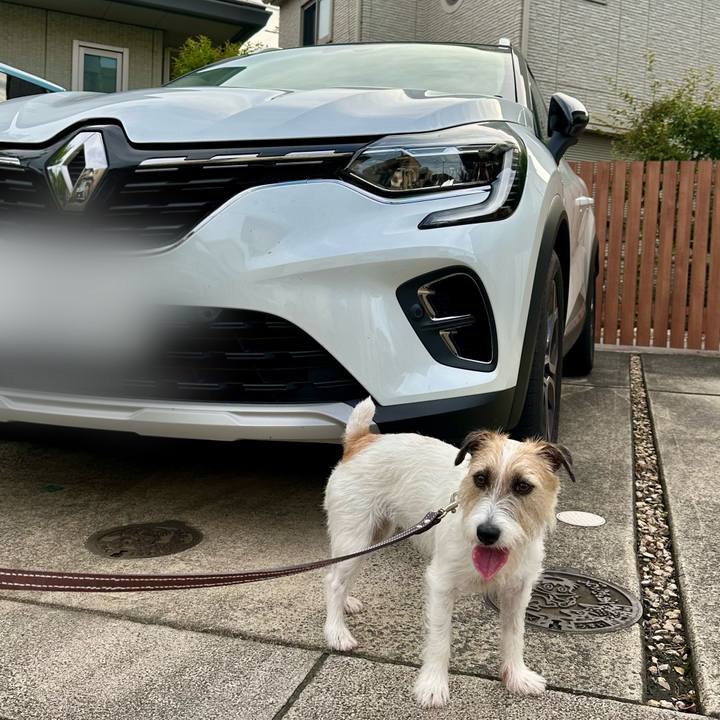 47c816ed 48a0 4b9d b4b6 19798fbbecfc 1721221692779