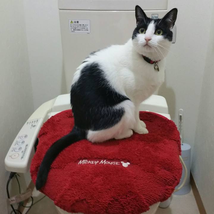 47c8d9e0 08d8 4731 84d0 7a60424fb664 1513322615893