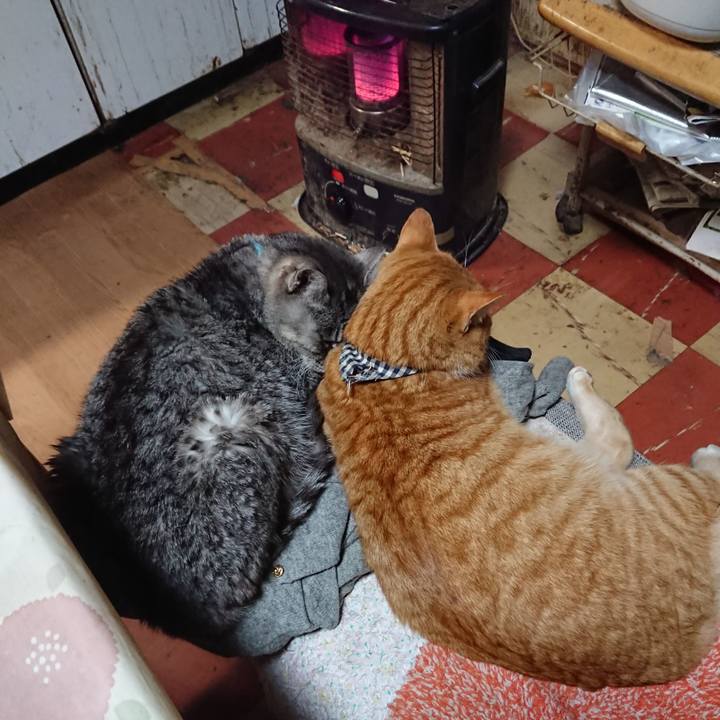 47c8e0a8 3f17 494d 85a5 56d41af48d33 1575798862579