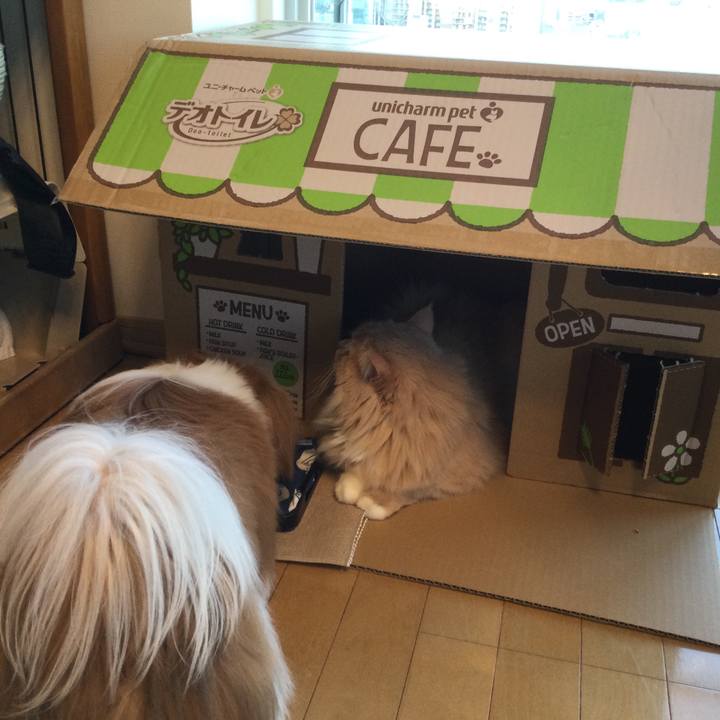 47c903a6 74ad 4f06 8ba6 2d45bba950fe 1629279564802