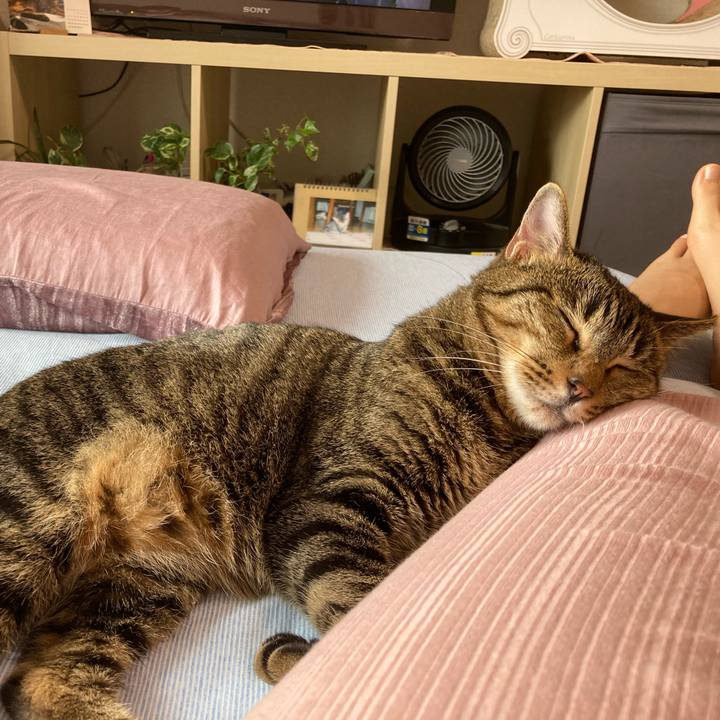 47c98f64 4079 4ffb 836b 411aff3e970c 1594524962676