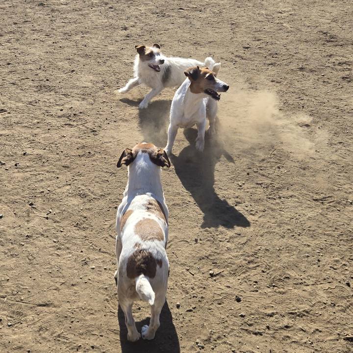 47c9a707 e5dd 48b5 b3e1 4eb87c7d1214 1769259648203