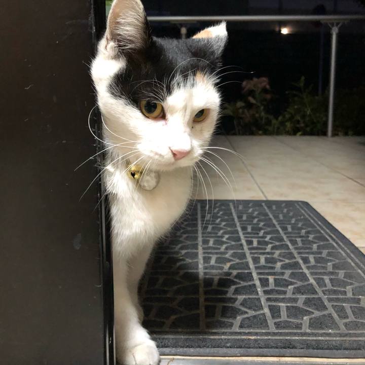 47ca30aa 3dfa 4bf9 89a9 9e1ba2b2ceb7 1606687734042